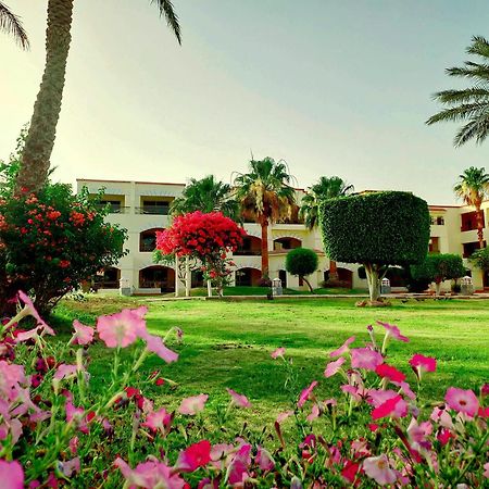 Regency Plaza Aqua Park And Spa Resort Sharm el-Sheikh Exteriör bild