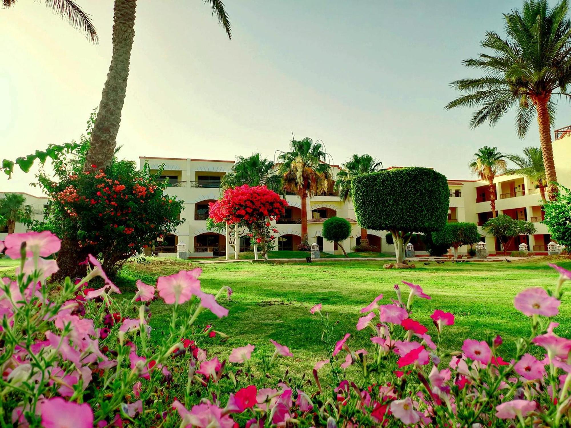 Regency Plaza Aqua Park And Spa Resort Sharm el-Sheikh Exteriör bild